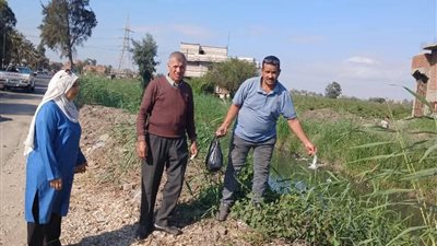 زراعة الشرقية تستكمله أعمال الحملة القومية لمكافحة القوارض