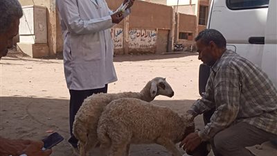 الطب البيطري بجامعة الزقازيق تطلق قافلتها العاشرة بقرية غزالة الخيس