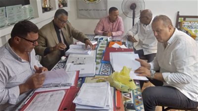 لجان الرقابة تواصل فحص السجلات المالية والإدارية لعدد من الأندية بالسويس