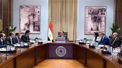 رئيس الوزراء يتابع عددا من ملفات عمل وزارة الكهرباء والطاقة المتجددة