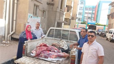 الطب البيطري بالمنوفية يضبط لحومًا مذبوحة خارج المجازر بشبين الكوم ومنوف