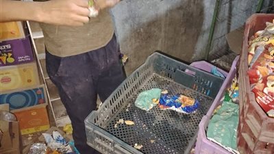 ضبط نصف طن أغذية فاسدة ومصنعات دواجن منتهية الصلاحية بدمياط 