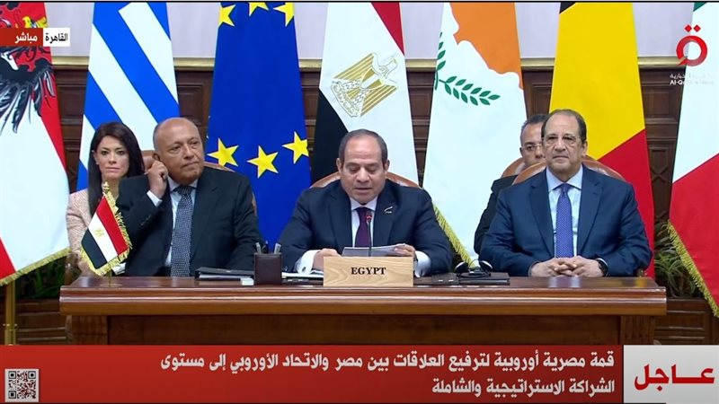 الشراكة المصرية الأوروبية