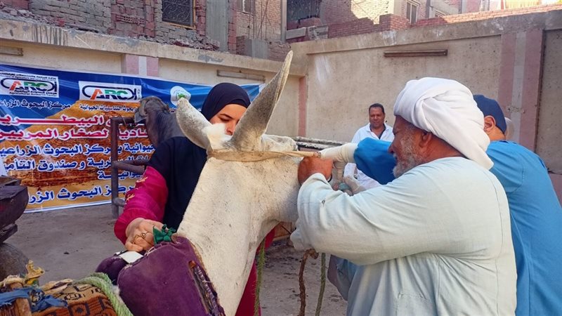  قافلة بيطرية 