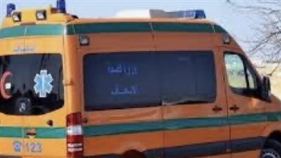 إصابة 4 أشخاص بحادث تصادم سيارة نقل بميكروباص بالدقهلية