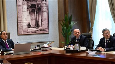 رئيس الوزراء يلتقي نائب رئيس مجموعة 