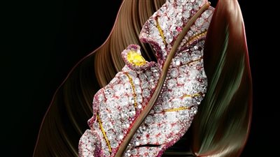 إبداع وفن.. مجموعة سيندي تشاو الجديدة للمجوهرات الراقية 