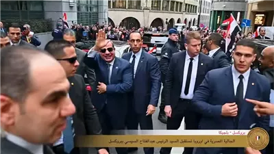 أحمد موسى: استقبال الجالية المصرية للرئيس السيسي في بلجيكا مشهد وطني مشرف 