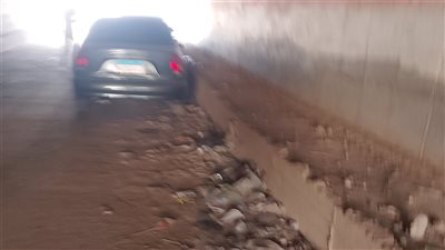 القمامة والمخلفات تحاصر أسوار كليات جامعة بنها.. والطلاب يستغيثون