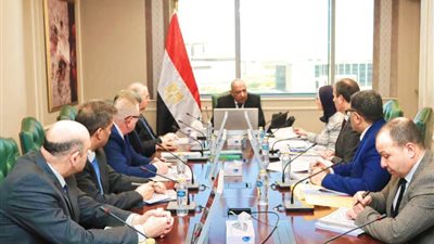 وزير الكهرباء يبحث مشروعات التغذية الكهربائية في توشكى وشرق العوينات والروبيكي