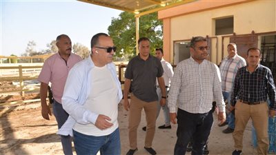 محافظ أسيوط يتابع تطوير مشروعات الإنتاج الحيواني بعرب مطير والعوامر