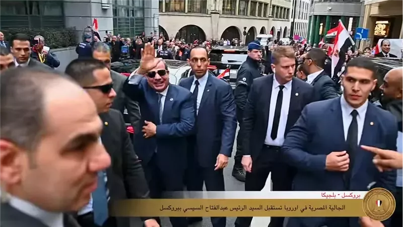 استقبال الجالية المصرية
