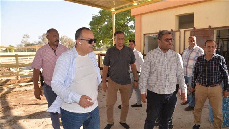 محافظ أسيوط