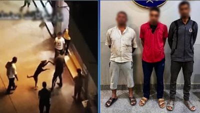 ربطوه من رقبته وجروه بالشارع.. تفاصيل القبض على المتورطين في تعذيب كلب