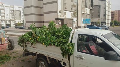 حملة مكبرة لصيانة وتجميل «سكن مصر» في الشروق.. التفاصيل