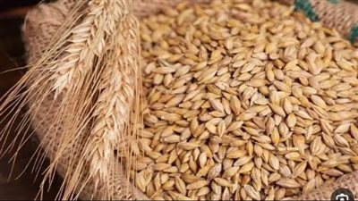 سعر طن الأرز الشعير اليوم في الأسواق.. السلع الأساسية بكام انهاردة؟