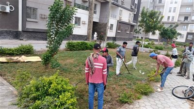 «جهاز مدينة الشروق»: حملات مكثفة لإجراء الصيانة ورفع كفاءة الطرق والمسطحات