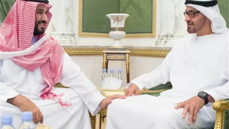 محمد بن زايد ومحمد