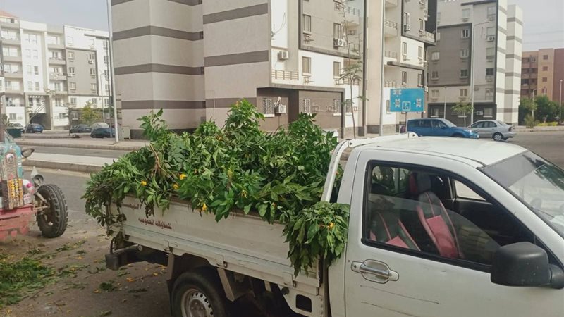 صورة توضيحية