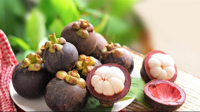 المانجوستين