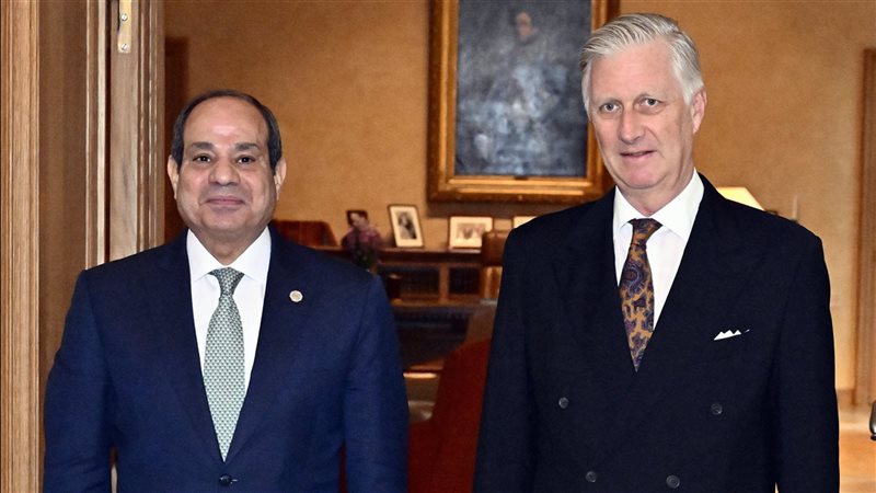 الرئيس السيسي وملك