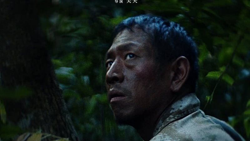 القطة السامة