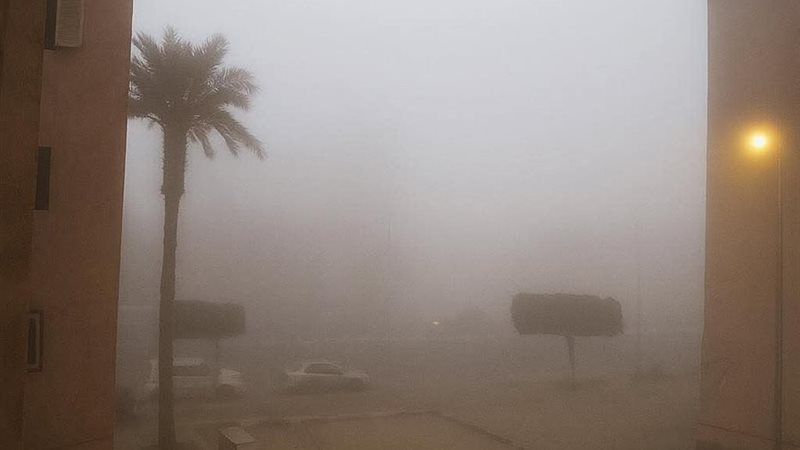 شبورة في السويس