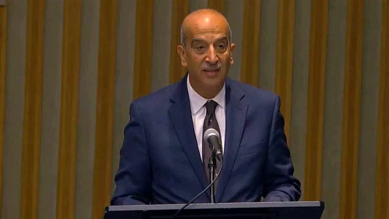مندوب مصر لدى الأمم