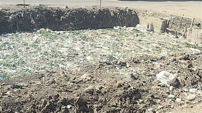 أهالي جامع بدر بالمنوفية..  يستغيثون انتشار القمامة والحشراتبترعة بمدخل القرية