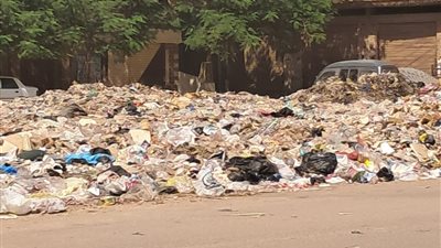 القمامة تحاصر سكان منطقة شارع القاضى بطنطا بمحافظة الغربية