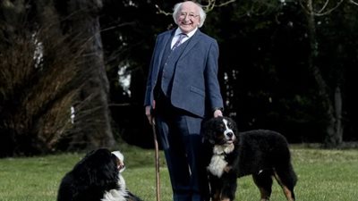 ذكريات جميلة.. لحظات مؤثرة للرئيس الأيرلندي مايكل دي هيجينز مع الكلاب الأليفة