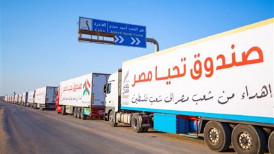 نشأت الوحيدي: مصر لم تتوقف يومًا عن مساندة الفلسطينيين 