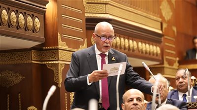 النائب حازم الجندي يطالب وزير النقل بسرعة إنارة الطريق الدولي ببرج البرلس