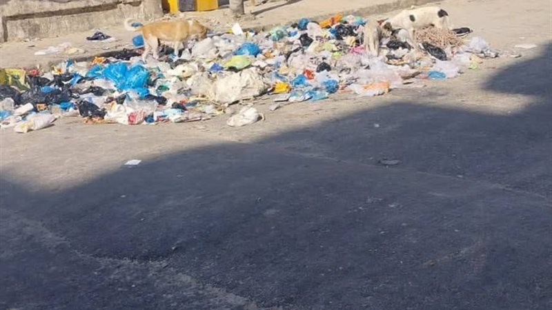 كورنيش النخيل