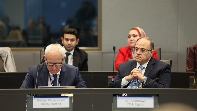 جانب من القمة