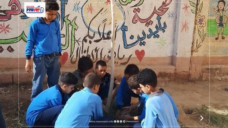 مدارس المنيا