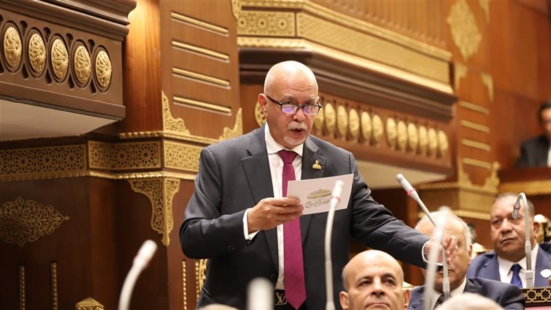 النائب حازم الجندي