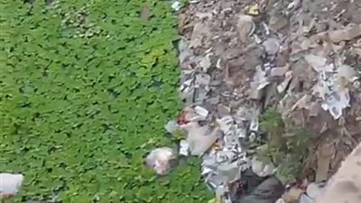 انتشار القمامة وورد النيل بترعة طريق خمسة حديث بدمياط يهدد البيئة 