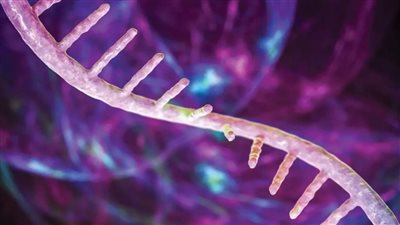 علماء يقتربون من علاج فقدان الذاكرة.. ما الذي ساعد على 