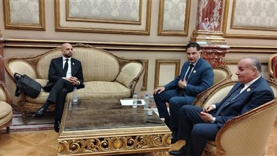 توافد أعضاء مجلس الشيوخ استعدادًا لانتخابات هيئات مكاتب اللجان النوعية