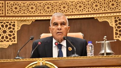 لإعلان قوائم اللجان النوعية.. عصام فريد يرفع الجلسة الأولى بمجلس الشيوخ