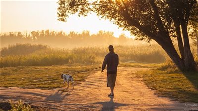 هل المشي بعد الغروب يحسن صحتك النفسية؟.. ما الأمر؟