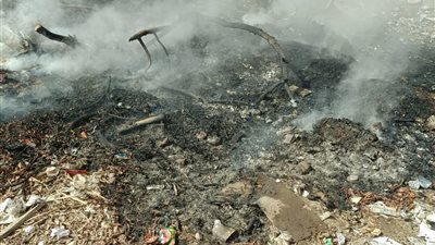 السيطرة على حريق بمخلفات أشجار في مجمع معاهد بالقليوبية دون خسائر