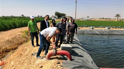 بتكليفات من 