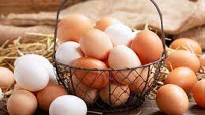 انخفاض أسعار البيض في الأسواق مع تراجع تكاليف الإنتاج..وتوقعات بمواصلة الهبوط