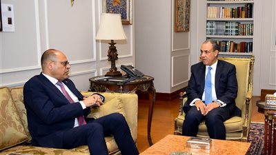 وزيرا الخارجية والعمل يناقشان مسألتي الهجرة والعمالة المصرية بالخارج