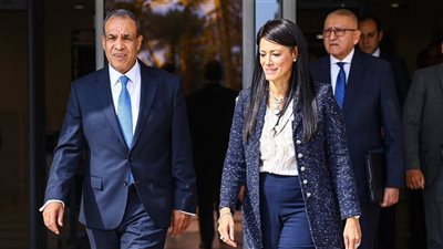 مصر تتحرك دبلوماسيًا واقتصاديًا.. تنسيق بين التخطيط والخارجية لدعم التنمية 
