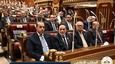 مجلس الشيوخ يُنهي تشكيل لجانه النوعية وانتخاب هيئات مكاتبها بحضور وزير الشئون 