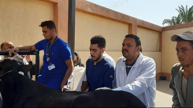 خلال الحملة 