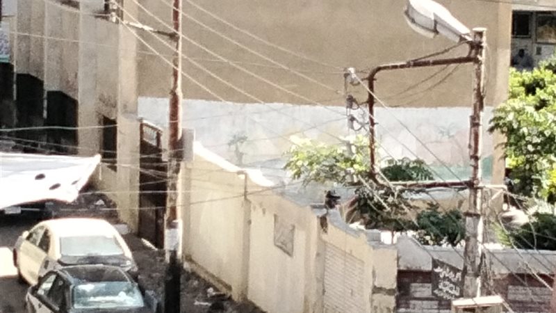 جانب من القمامة بجوار